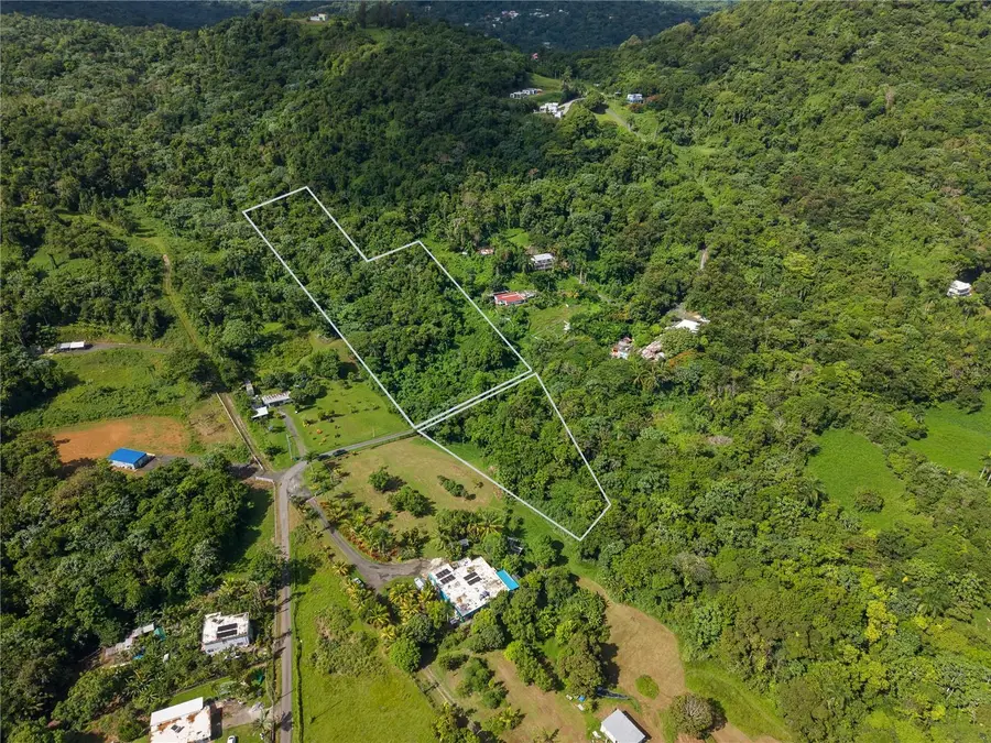 Mata De Platano, Luquillo, PR 00773 - #3