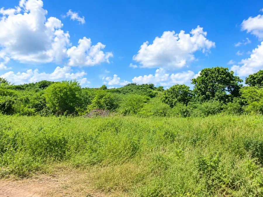 Pr 77711, Guayama, PR 00784 - #2