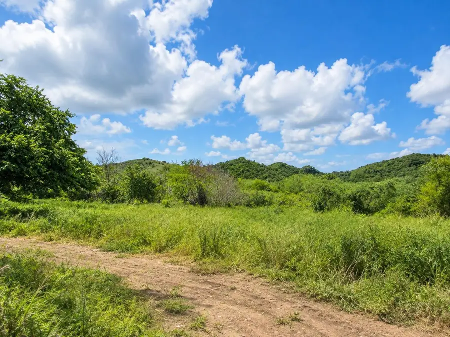 Pr 77711, Guayama, PR 00784 - #3