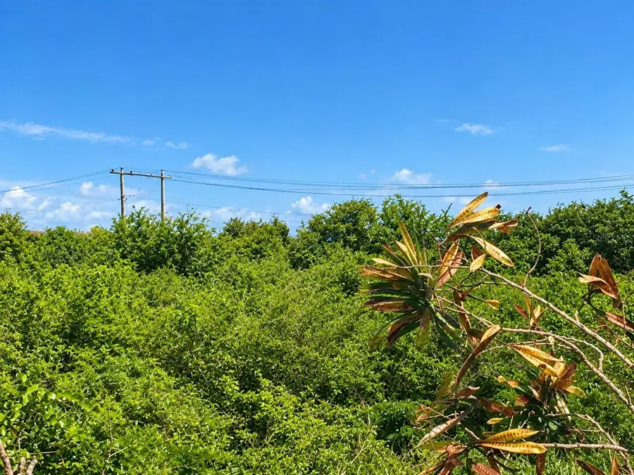 Lot 4 Pr 753 Km 0.4 Ancones Ward, Arroyo, PR 00714 - #2