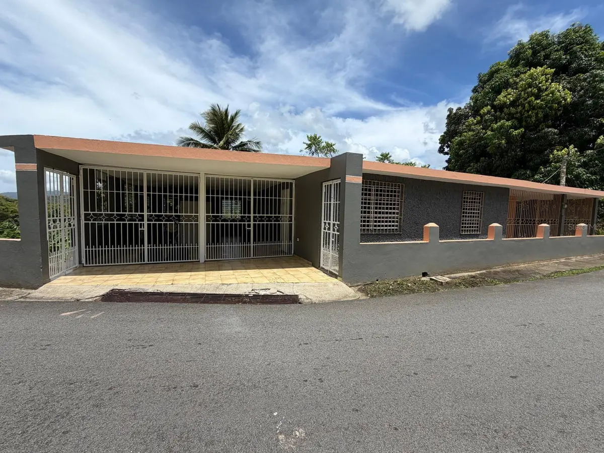 Carr # 31, Km 10,0 Sector El Comun, Rio Blanco, PR 00744 - #1