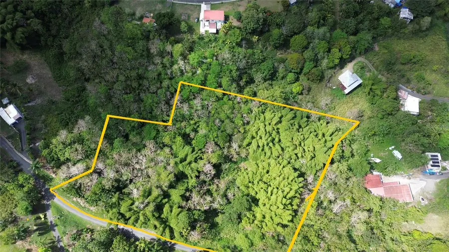 23 Campias, Juncos, PR 00777 - #2