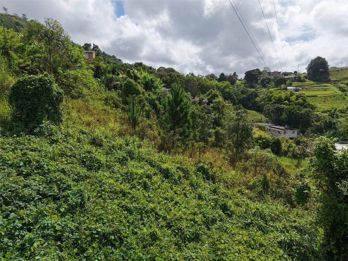 PR 772 KM 4.9 Caabon Ward, Barranquitas, PR 00794 - #1