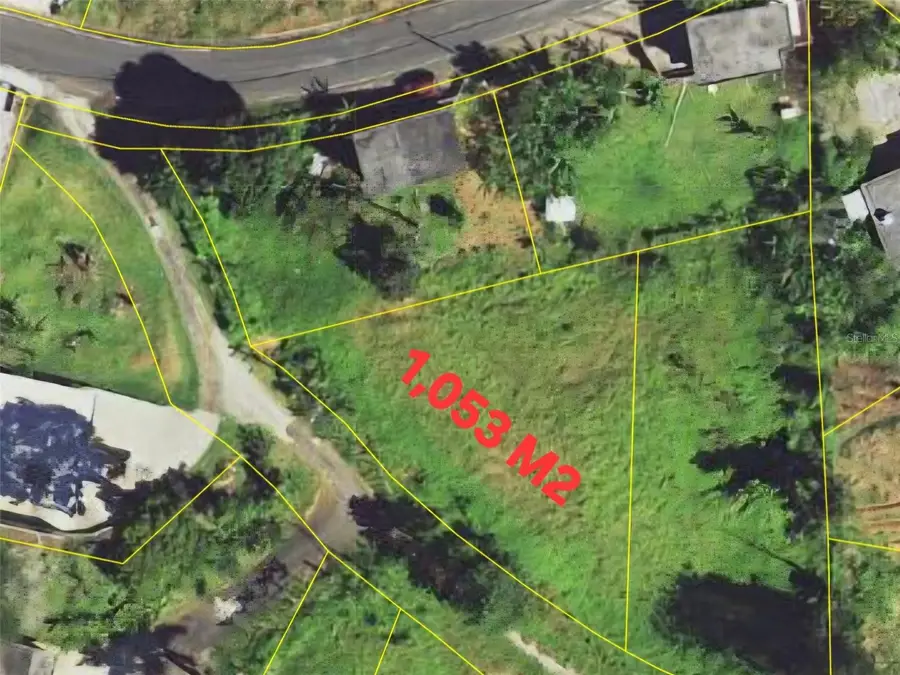 PR 772 KM 4.9 Caabon Ward, Barranquitas, PR 00794 - #2