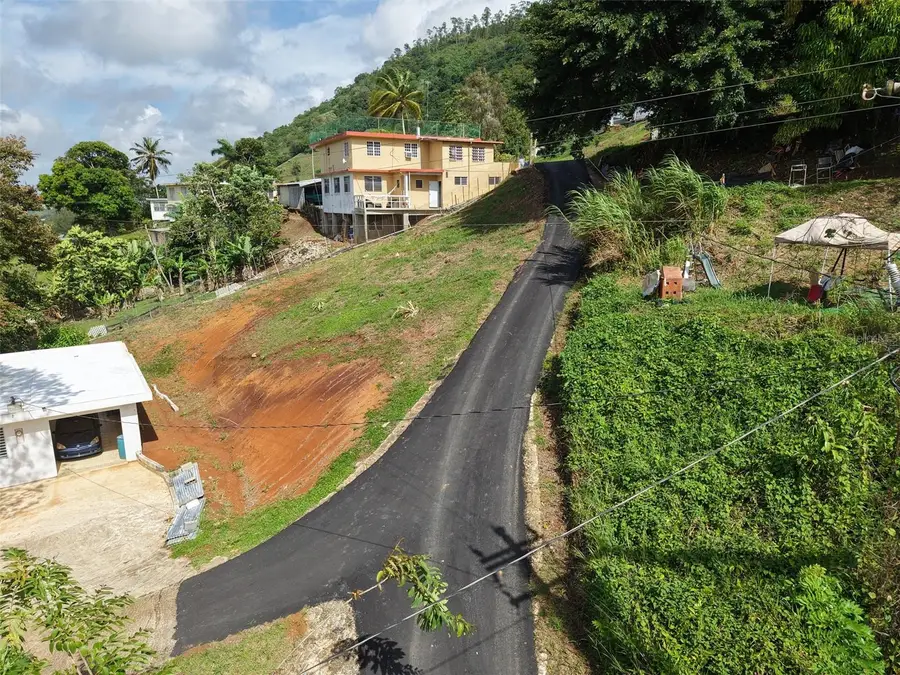 PR 772 KM 4.9 Caabon Ward, Barranquitas, PR 00794 - #3