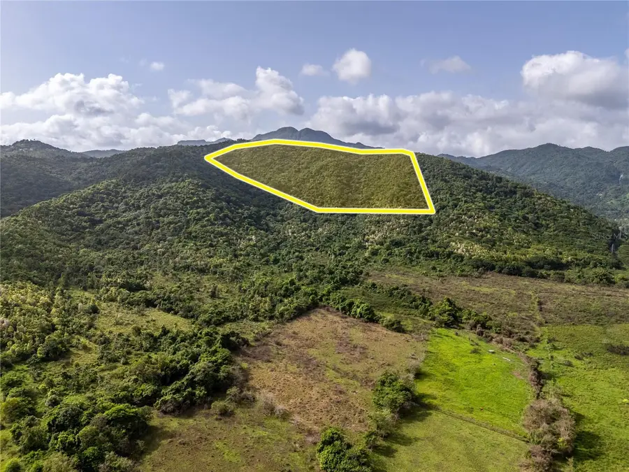 Bo. Rio Blanco, Naguabo, PR 00718 - #2