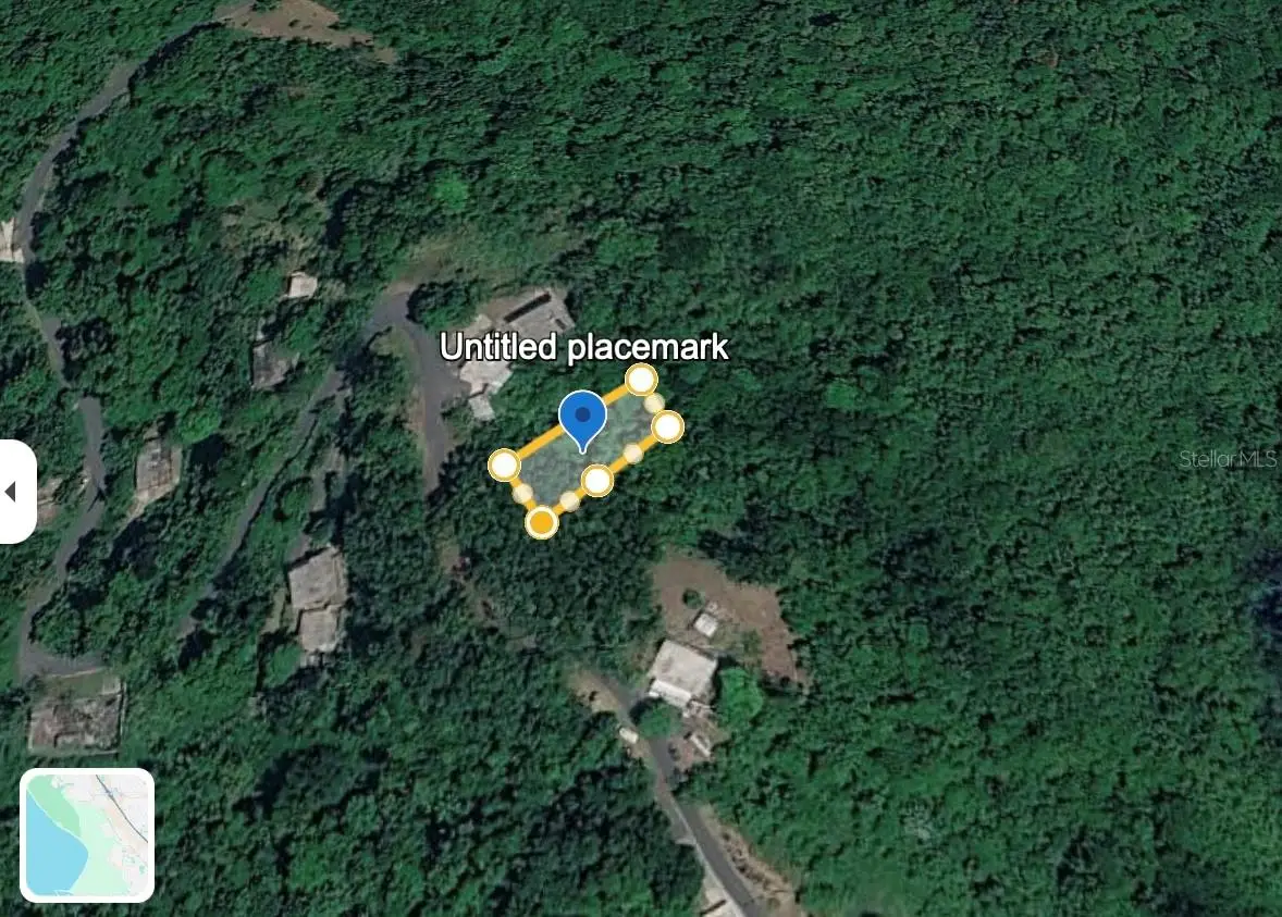 Bo Lomas, Canovanas, PR 00729 - #1
