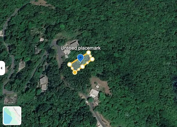 Bo Lomas, CANOVANAS, PR 00729