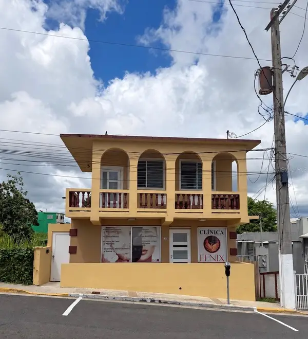 60 Calle Degetau, AIBONITO, PR 00705
