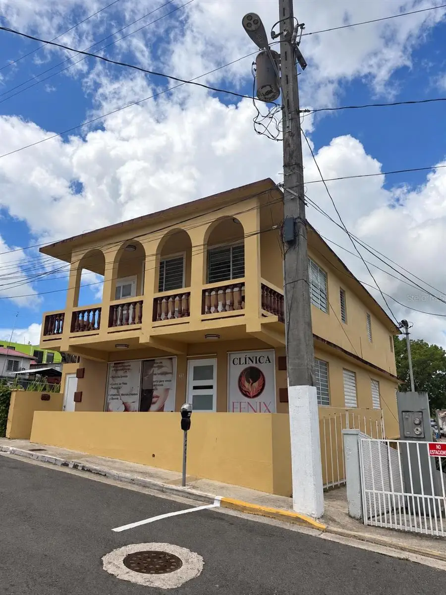 60 Calle Degetau, Aibonito, PR 00705 - #2