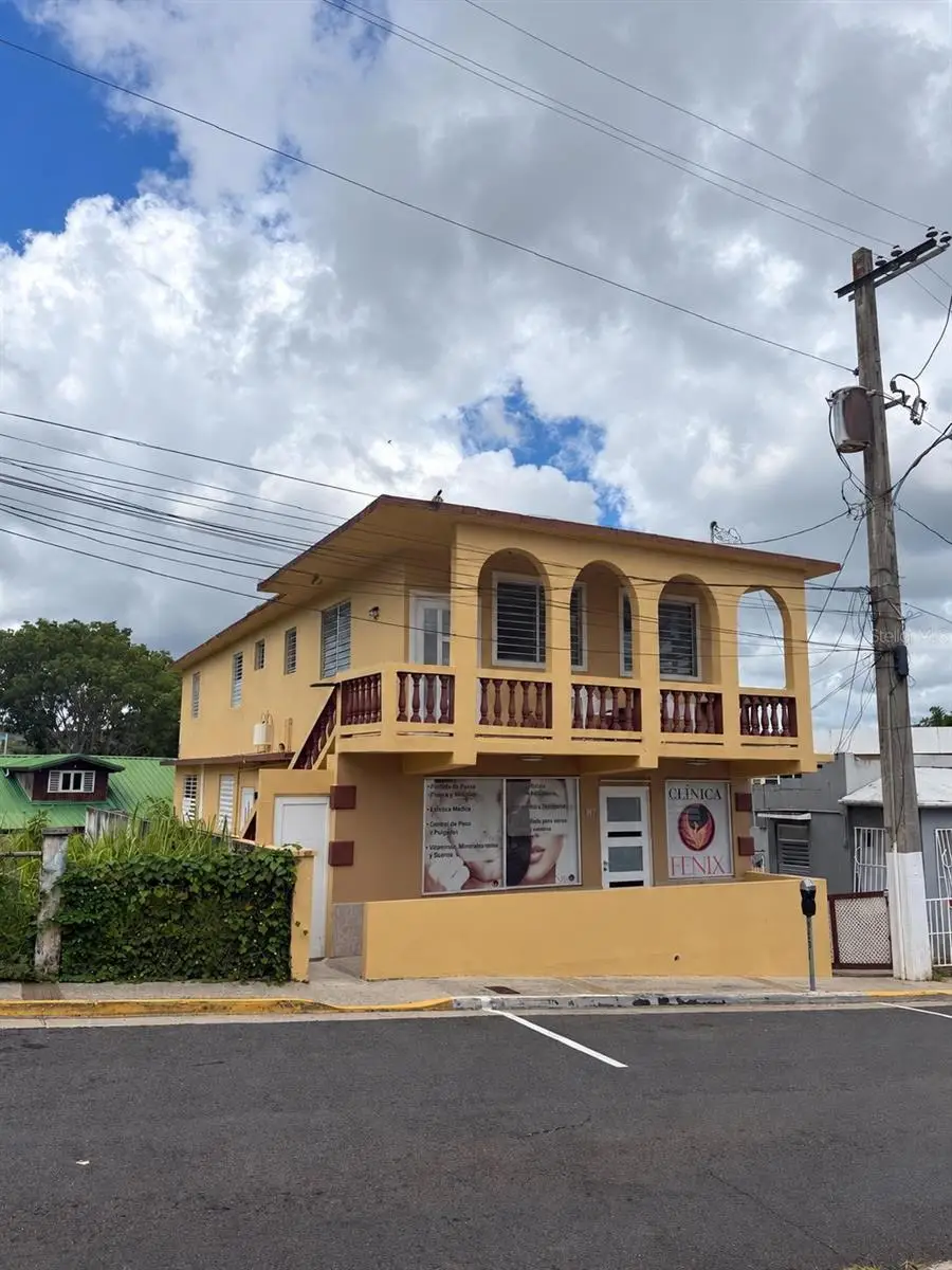 60 Calle Degetau, Aibonito, PR 00705 - #3