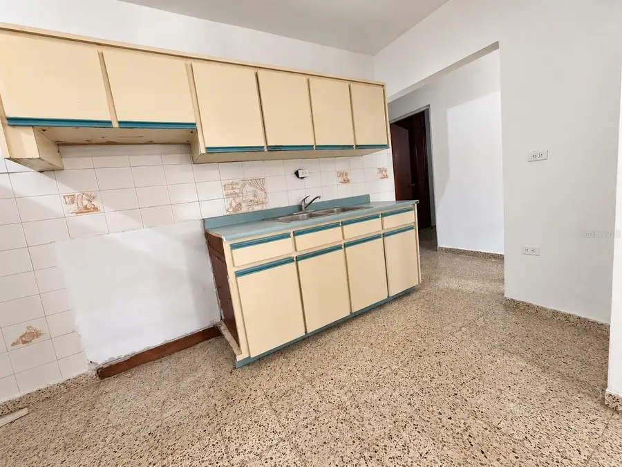 15 Calle Caoba, Juncos, PR 00777 - #3
