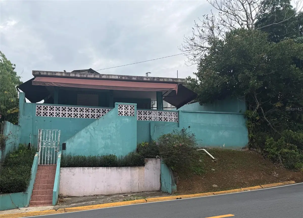 3 Rafael Lasa, Aguas Buenas, PR 00703 - #1