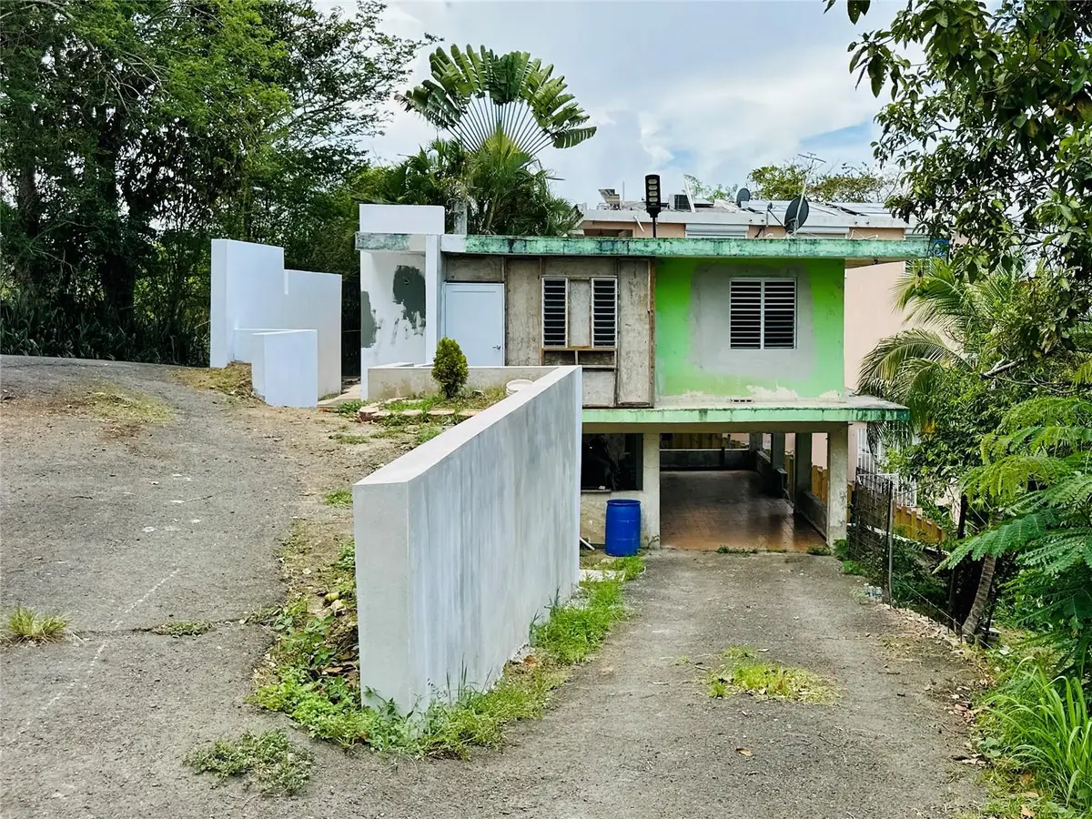 SR 185 KM 4.4 Lomas Del Viento, Canovanas, PR 00729 - #1