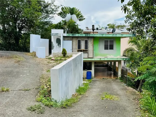 SR 185 KM 4.4 Lomas Del Viento, CANOVANAS, PR 00729