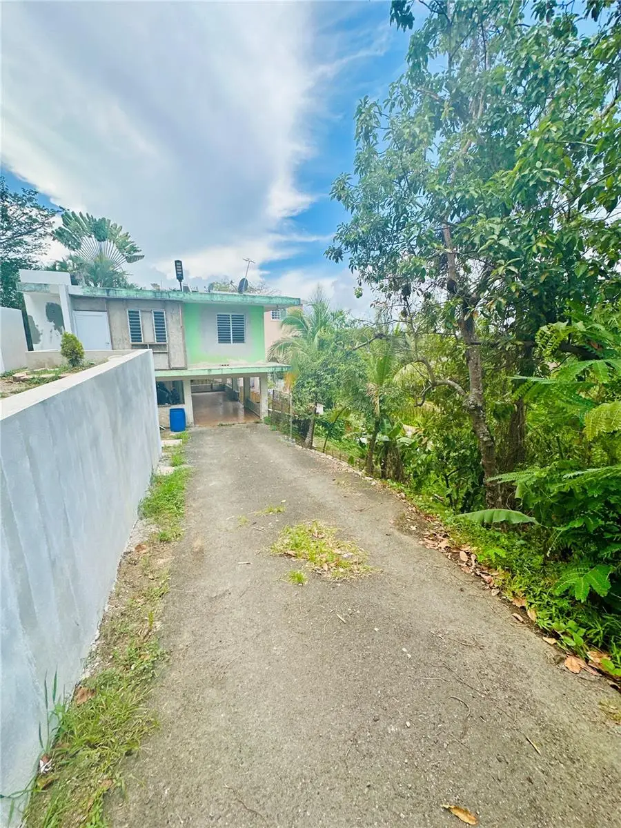 SR 185 KM 4.4 Lomas Del Viento, Canovanas, PR 00729 - #2