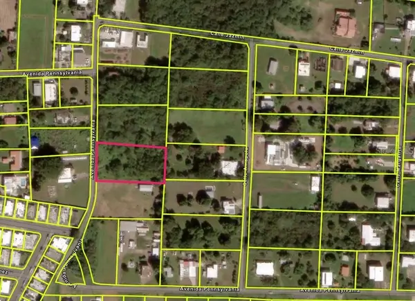 Sector Godreau ( #35) Pennsylvania, SALINAS, PR 00751