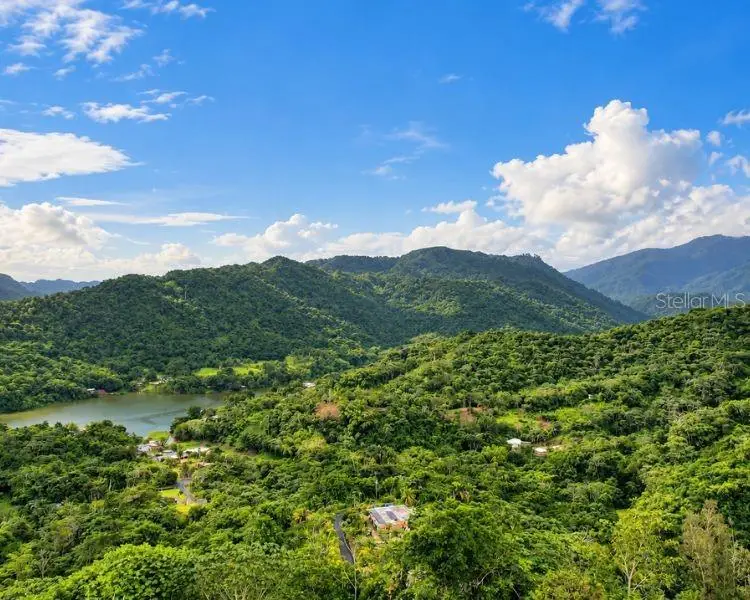 Carr 612 Don Alonso, Carr 612, Puerto Rico,00641, Utuado, PR 00641 - #2