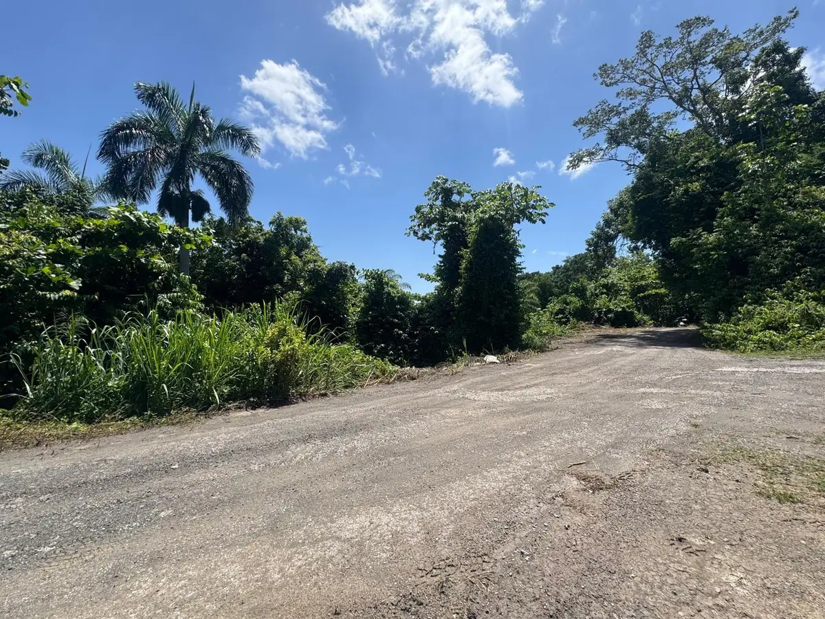 Carr. 361, Km. 3.9 Bo. Can Bajo, San German, PR 00683 - #1