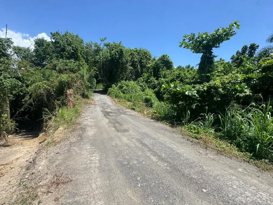 Carr. 361, Km. 3.9 Bo. Can Bajo, San German, PR 00683 - #2