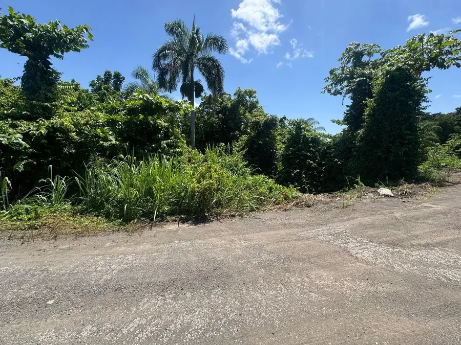 Carr. 361, Km. 3.9 Bo. Can Bajo, San German, PR 00683 - #3