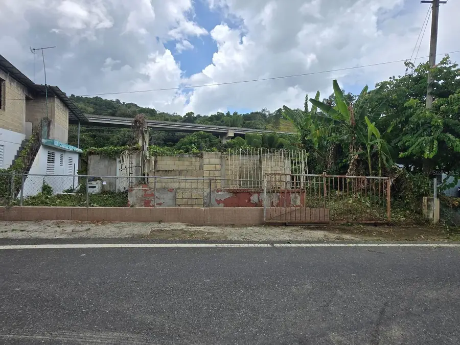 Km 5.5 Bo. Salto Arriba, Utuado, PR 00641 - #3