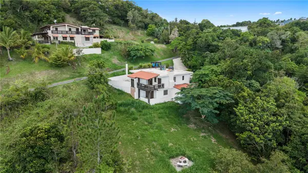 Carr 162 Bo Cuyn, AIBONITO, PR 00705