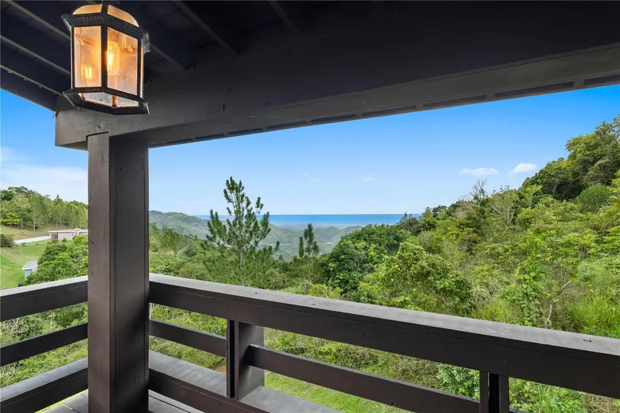 Carr 162 Bo Cuyn, Aibonito, PR 00705 - #2