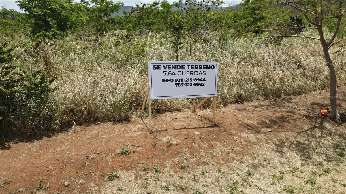 Carr 748 Bo. Caimital, Guayama, PR 00784 - #1