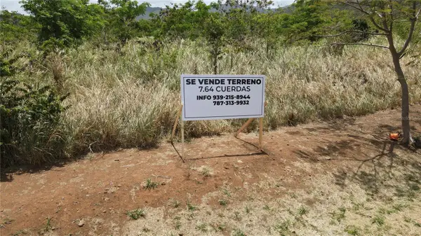 Carr 748 Bo. Caimital, GUAYAMA, PR 00784