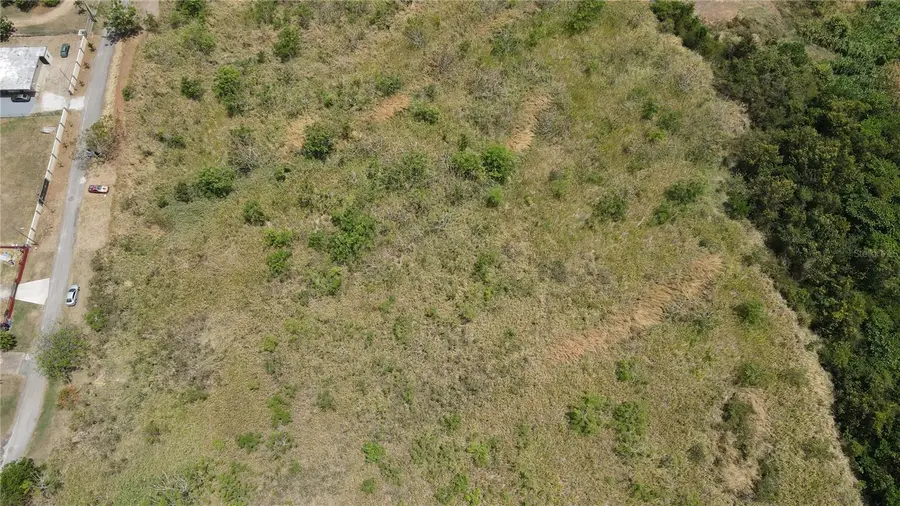 Carr 748 Bo. Caimital, Guayama, PR 00784 - #3