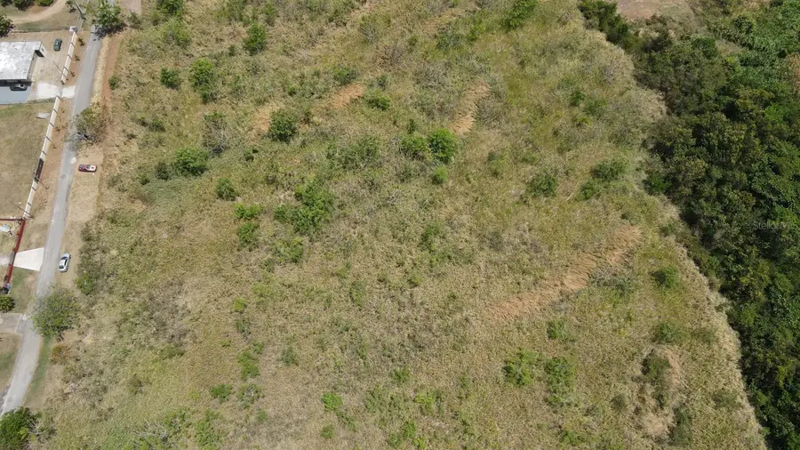 Carr 746 Bo. Caimital, Guayama, PR 00784 - #2