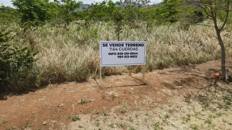 Carr 746 Bo. Caimital, Guayama, PR 00784 - #3