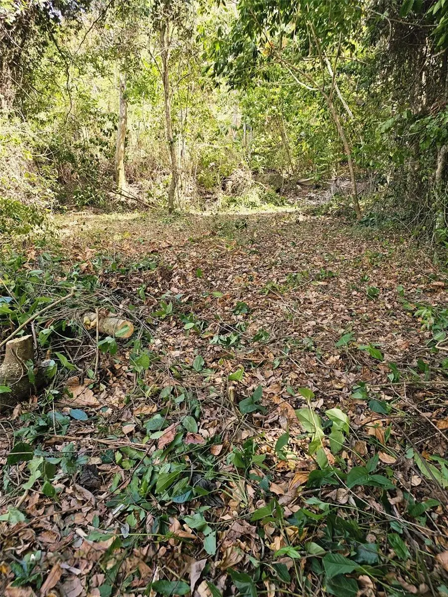 829 St. Santa Olaya #10, Bayamon, PR 00956 - #3