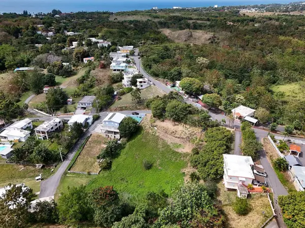Pr-115 Interior, RINCON, PR 00677