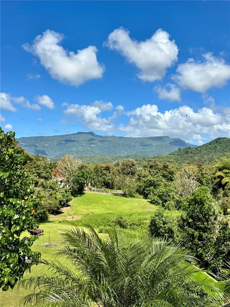 Bo Collores Carr#936 Km 1.0 #Solar 1, Las Piedras, PR 00771 - #1