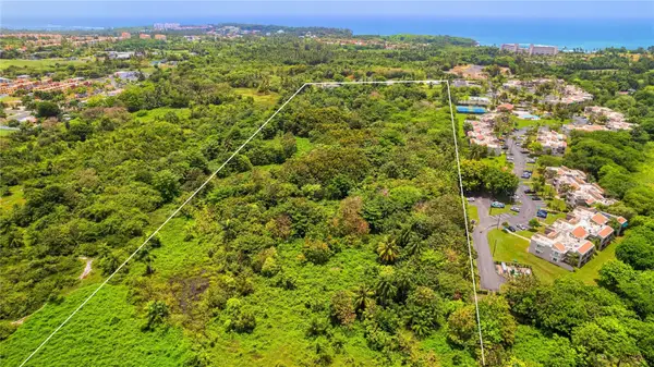 KM 13 Pr-693, DORADO, PR 00646