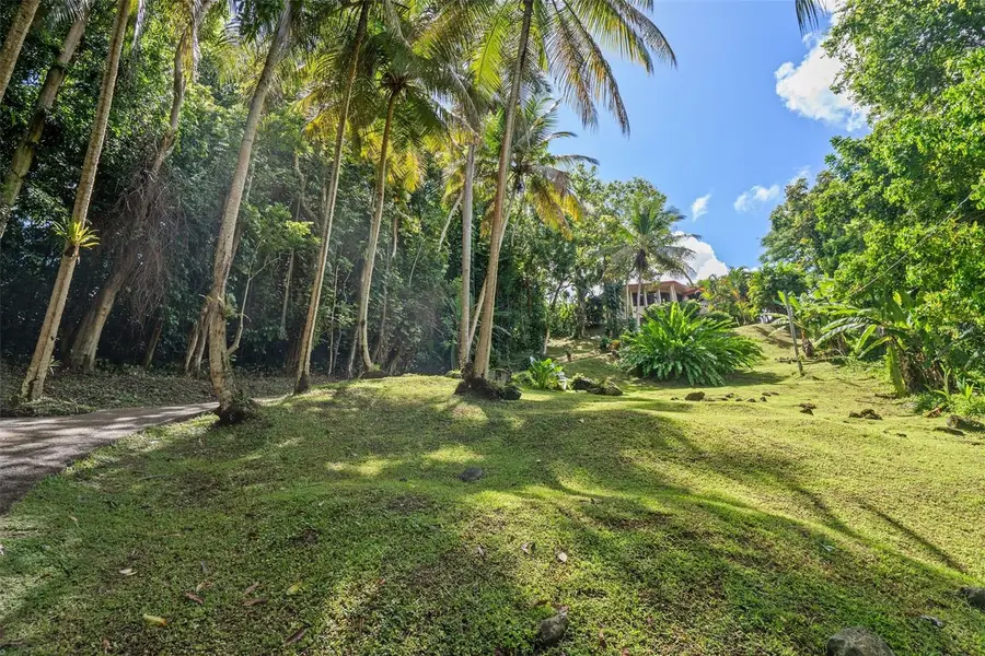 Lote 142 Colinas De Luquillo, Luquillo, PR 00773 - #2