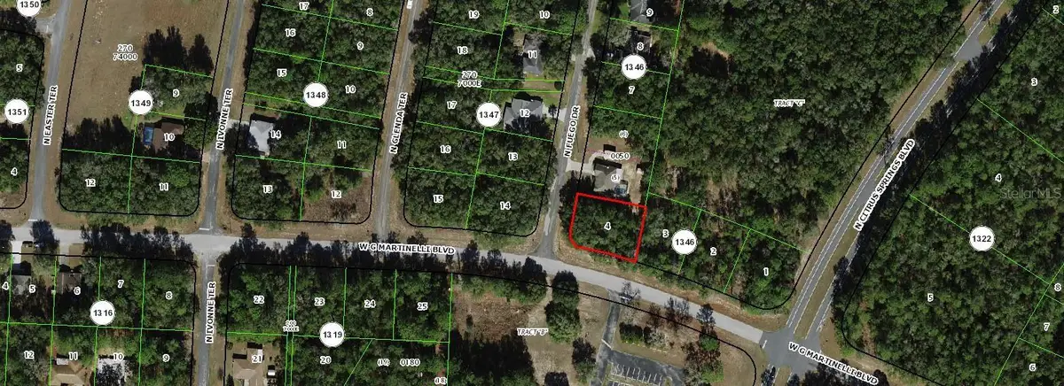 11007 N Fuego Drive, Citrus Springs, FL 34434 - Image #1