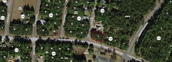 11007 N Fuego Drive, CITRUS SPRINGS, FL 34434