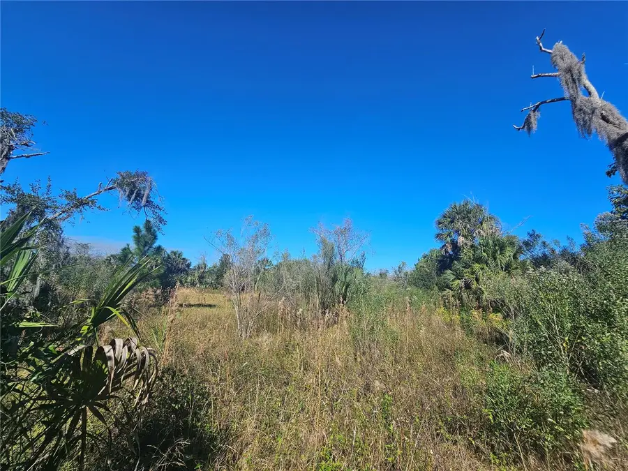 786 Fort Florida Road, Debary, FL 32713 - Image #2