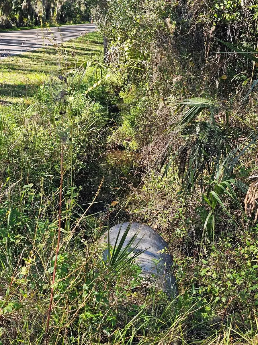 786 Fort Florida Road, Debary, FL 32713 - Image #3