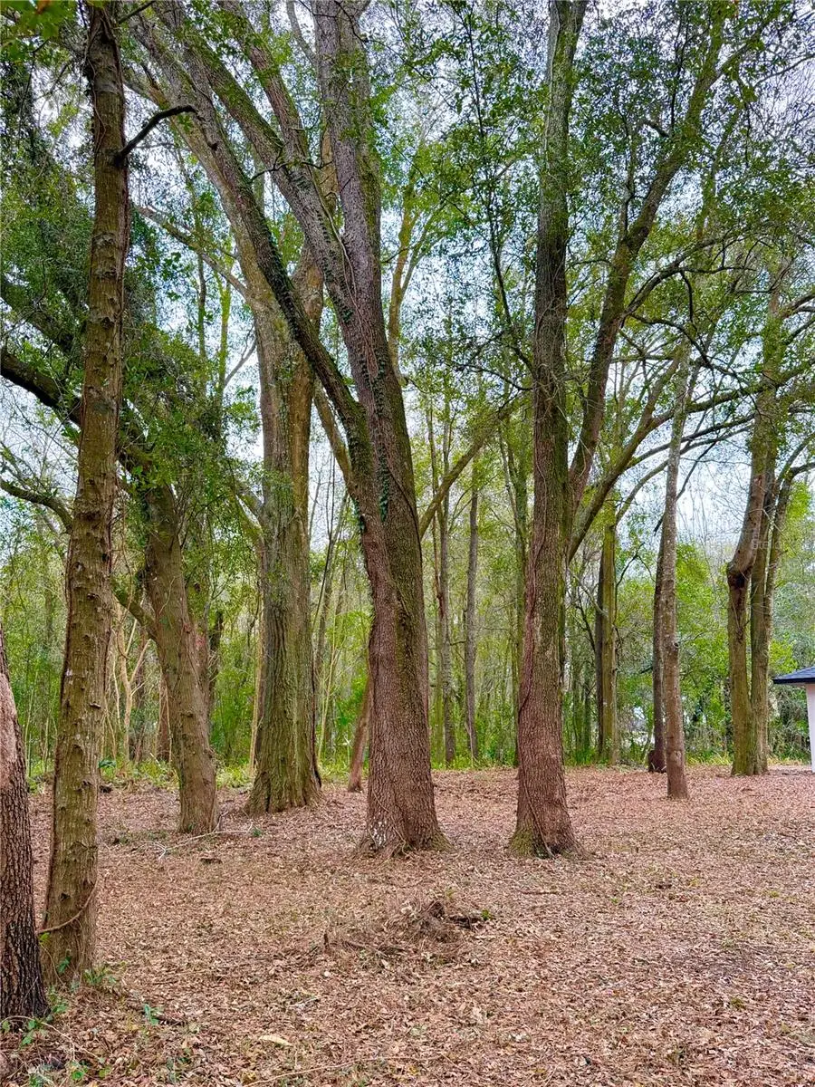 43 Pine Trace Course, Ocala, FL 34472 - #3