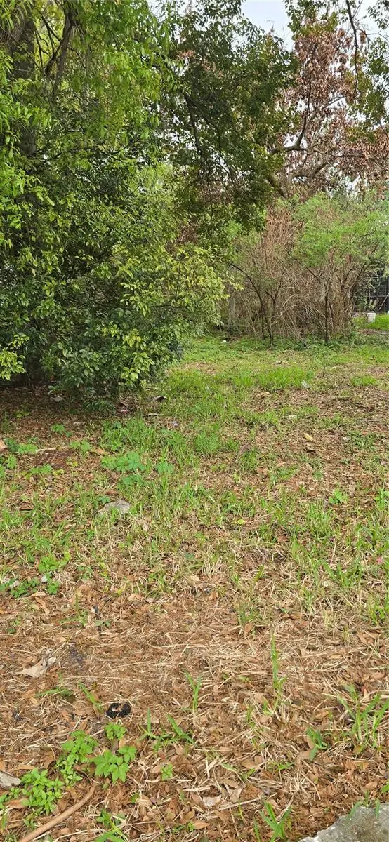 810 W 14th Street, Lakeland, FL 33805 - #1