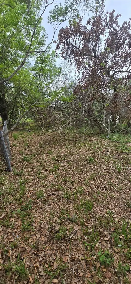 810 W 14th Street, Lakeland, FL 33805 - #3