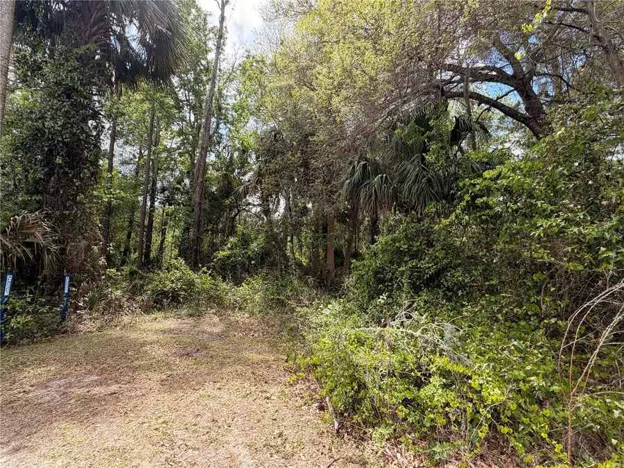 County Road 445a, Astor, FL 32102 - #2