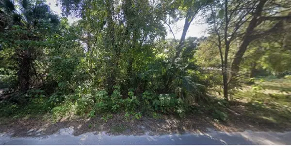 NE 167th Place, CITRA, FL 32113