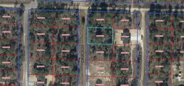NE 153rd Avenue, WILLISTON, FL 32696