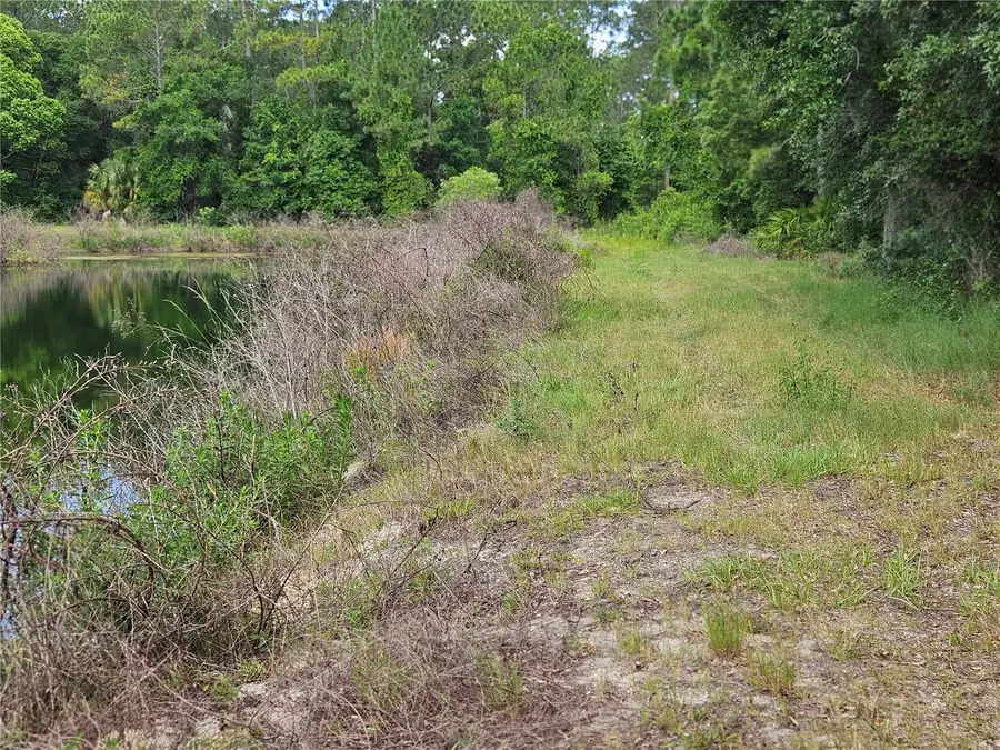 Burnsed Road, Pierson, FL 32180 - #2