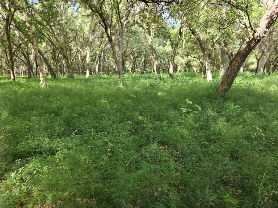 Burnsed Road, Pierson, FL 32180 - #3